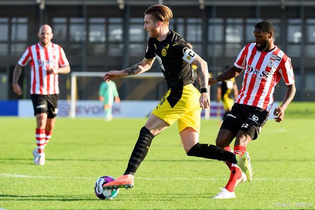 种慈善活动 种慈善活动